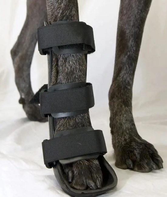 Veterinary Canine Splints